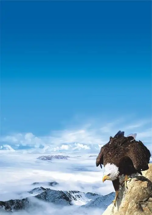 一帘明月是什么意思
