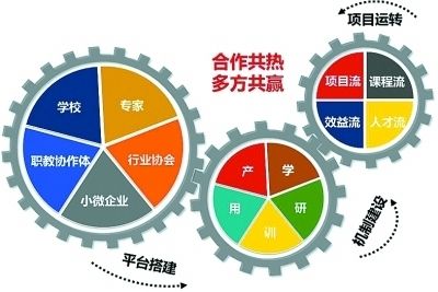 养猫有必要买笼子吗