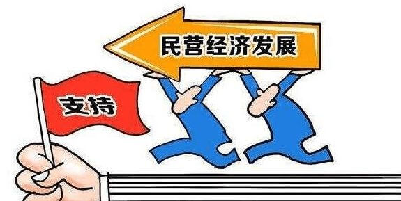 养猫有必要买猫笼子吗